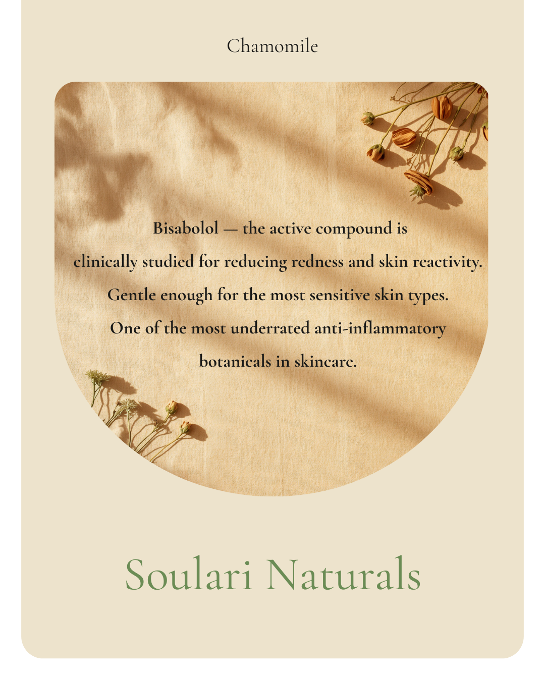 Chamomile: Nature's Calm for Skin | Soulari Naturals